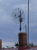 Poln den 2011