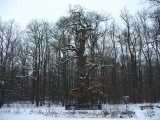 CHKO esk kras - OKFF-016