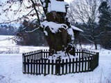 CHKO esk kras - OKFF-016