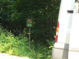 NNR erchov forest - OKFF-063
