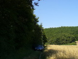 NNR Karltejn - OKFF-085