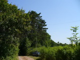 NNR Koda - OKFF-089