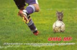 QSL OM6MF